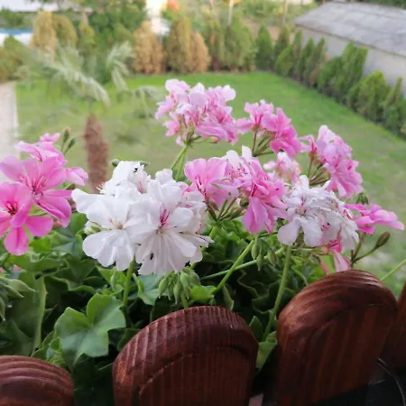 Borche Apartament Bogdanci